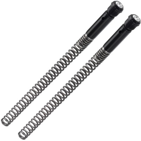 KIT SPRINGS + FORK CAPS BITUBO KB12 HARLEY DAVIDSON XL 883N IRON 09-19